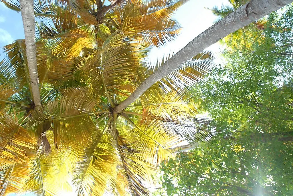 Appartement Les Balisiers à Les Anses-d'Arlet Martinique