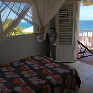 Rose Phoenix Terrasse Et Piscine Vue Hébergement de vacances